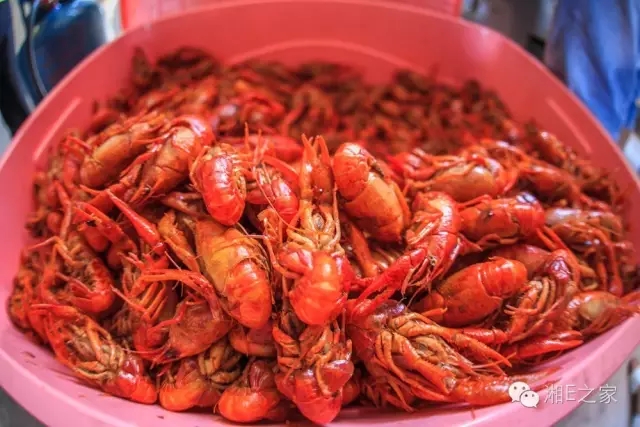 天嬌汽車文化節(jié)-一個可以吃喝玩樂的汽車節(jié)！