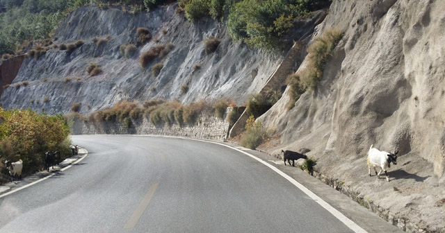 講真的，我碰到了20年后的我...