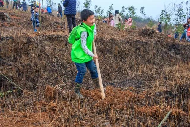建設(shè)生態(tài)邵陽城，天嬌集團在行動