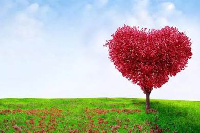 愛心灑人間，走進(jìn)新時代..........倒計時兩天