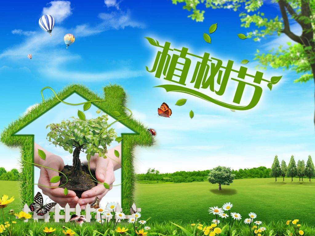 北京現(xiàn)代“智現(xiàn)代，植未來”，你我共建森林邵陽