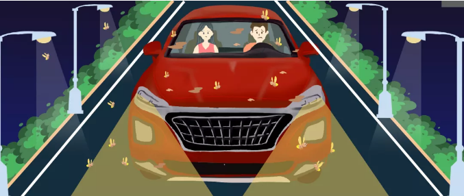 安全清除車身飛蟲，僅需十分鐘