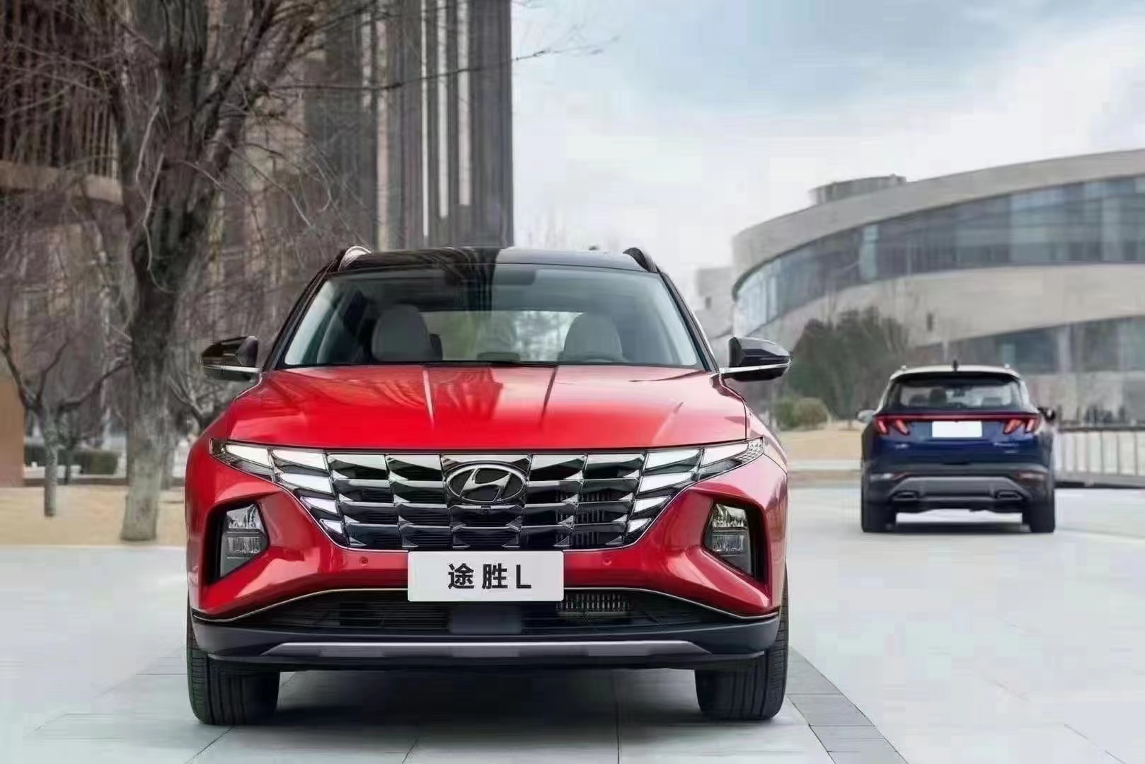 如何呵護(hù)家人，看這兒！